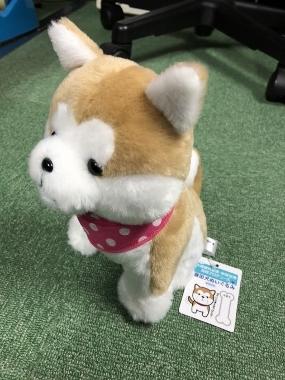 金（かね）偏に失う」と書く「鉄」人の貧乏雑日記！！ ステンレス